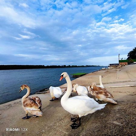 Vila Maza Smederevo Buitenkant foto